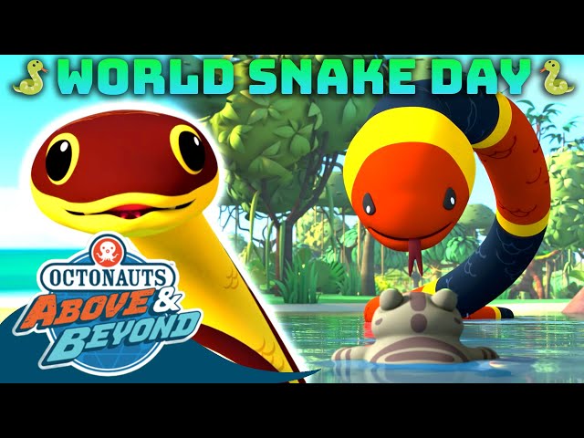 Octonauts: Above & Beyond -  🐍 Sneaky Snakes | World Snake Day  🐍 | Compilation | @Octonauts​