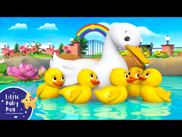 Five Little Ducks | Little Baby Bum - New Nursery Rhymes for Kids