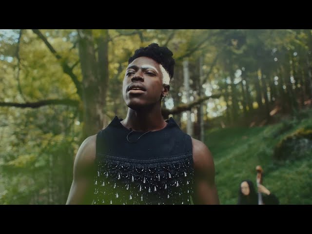 Moses Sumney - In Bloom (in the woods)