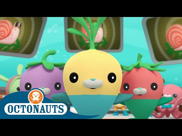 Octonauts - True Friendship  | Cartoons for Kids | Underwater Sea Education