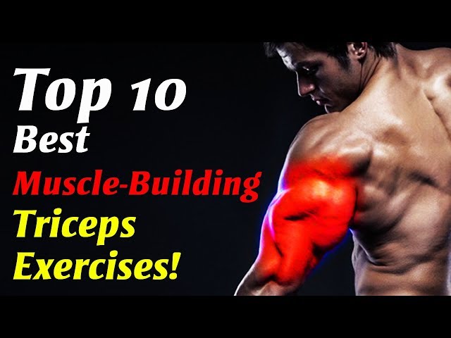 Top 10 Best Muscle Building Triceps Exercises! | Best Triceps Workouts