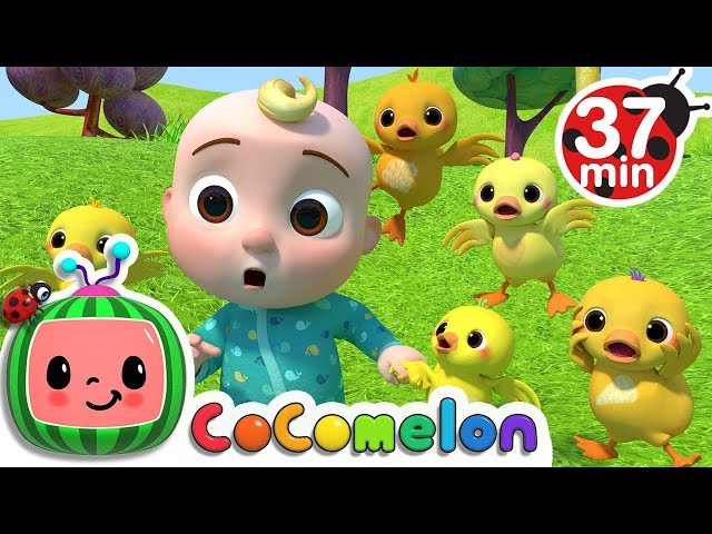 Five Little Ducks 2 + More Nursery Rhymes & Kids Songs - CoComelon