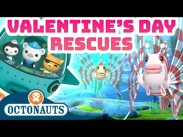 ​@Octonauts - Valentine's Day Rescues 💝⛑️🛟 | 50 Mins Compilation | Underwater Sea Education
