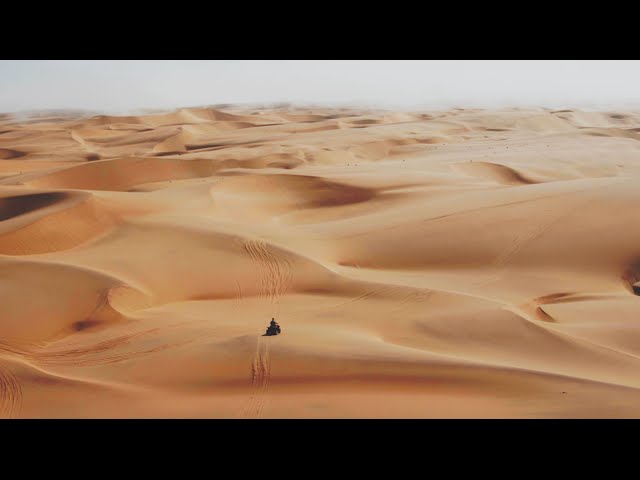 Martin Garrix & Third Party - Lions In The Wild [Official Video]