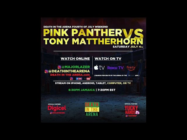 Death in the Arena - Tony Matterhorn Vs Pink Panther