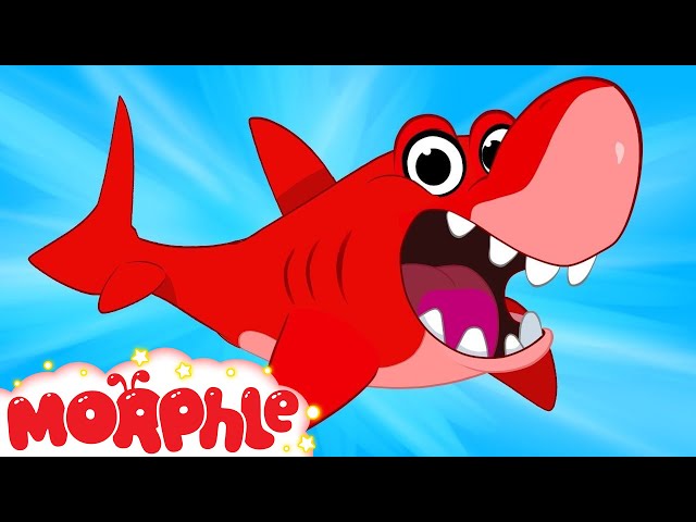 My Pet Shark - My Magic Pet Morphle