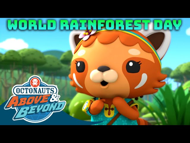 Octonauts: Above & Beyond - World Rainforest Day | Compilation | @Octonauts​