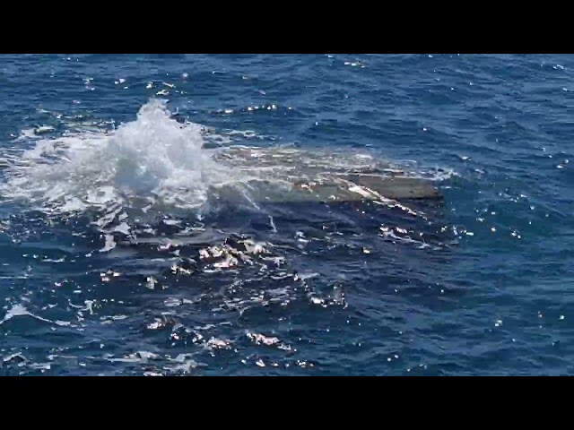 Crew Spots Large Container Floating in Gulf of Carpentaria