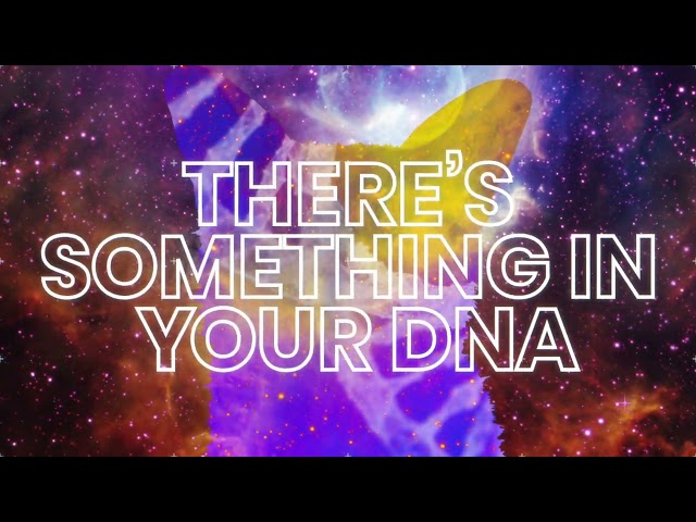 Craig David & Galantis - DNA (Official Lyric Video)