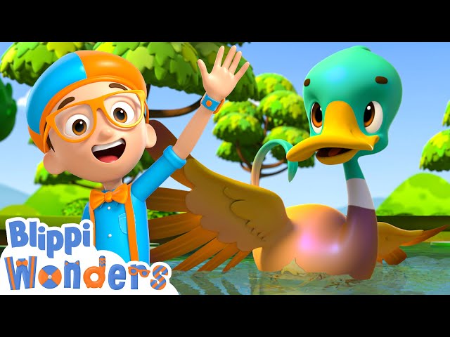 Blippi Wonders - Blippi Plays Sink or Float with Ducks | Educational Cartoons for Kids | Blippi Toys