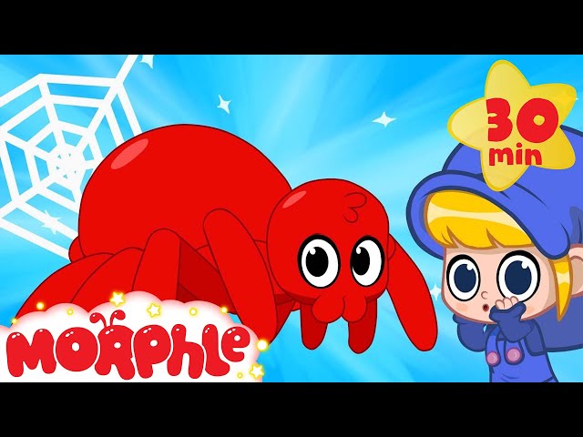My Scary Pet Spider! Morphle becomes a spider superhero! My Magic Pet Morphle Animation for kids