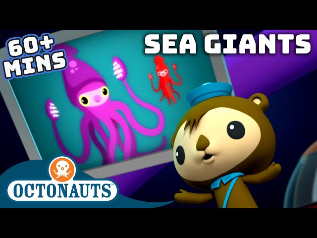 @Octonauts - Sea Giants | 60 Mins+ Compilation | Cartoons for Kids | Underwater Sea Education