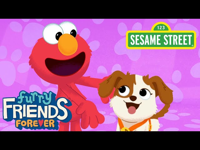Sesame Street: T-A-N-G-O (BINGO Song Remix) | Elmo & Puppy Furry Friends Forever
