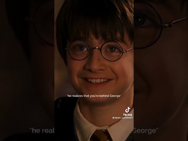 Harry Potter POVs