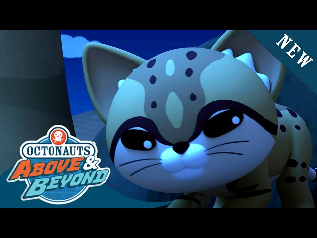 Octonauts: Above & Beyond - The Sand Cat 😺 | Season 2 | @Octonauts​