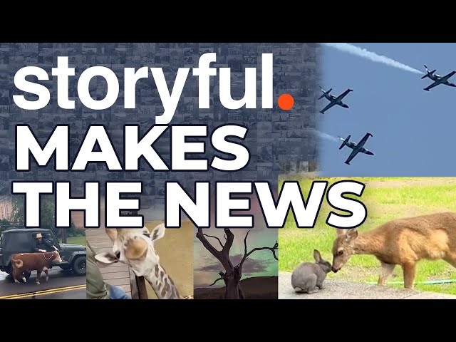 The Storyful Cut May '20 2024