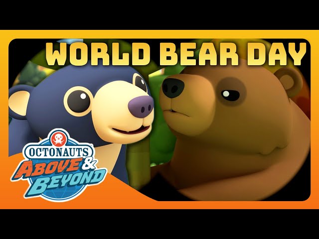 Octonauts: Above & Beyond - 🌎 World Bear Day 🐻 | Compilation | @Octonauts​