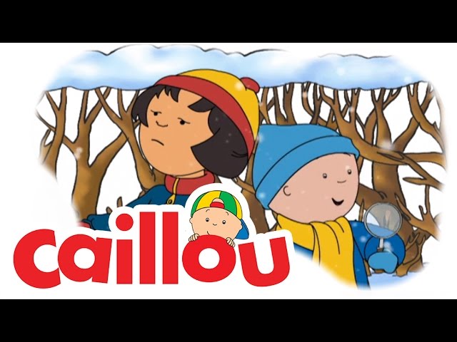 Caillou - Snowflakes  (S04E06) | Videos For Kids