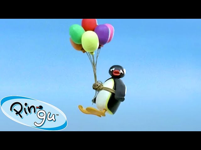 Taking Flight! 🐧 | Pingu - Official Channel | Cartoons For Kids