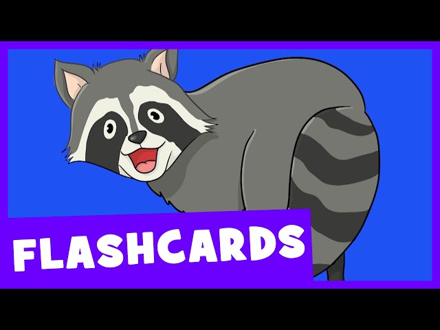 Forest Animals | Talking Flashcards