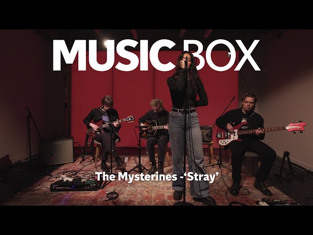 The Mysterines 'Stray' - Live on Music Box