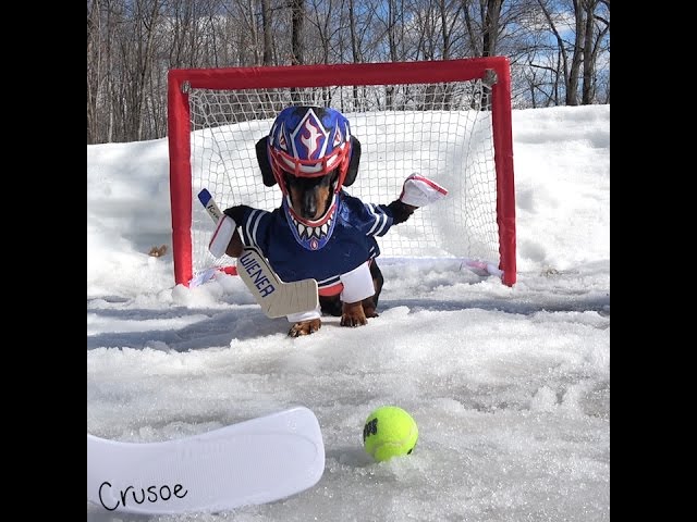 Crusoe Goalie Practice !