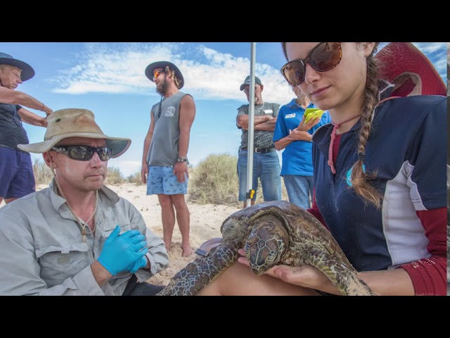 Discoveries at Ningaloo Reef