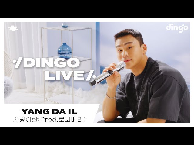 [#딩고라이브] 양다일(Yang Da Il) - 사랑이란(Love is...)(Prod.로코베리) | 딩고뮤직 | Dingo Music