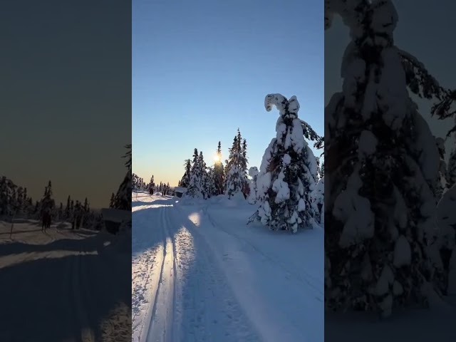 Cross country skiing in Sälen