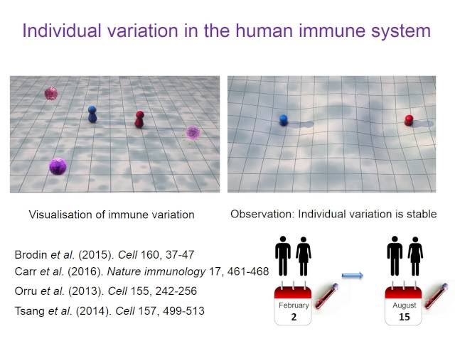 Shaping variation in the human immune system