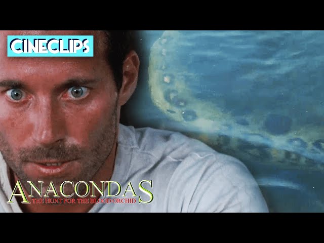 Giant Anaconda Lurks At Waterfall | Anacondas: The Hunt For The Blood Orchid