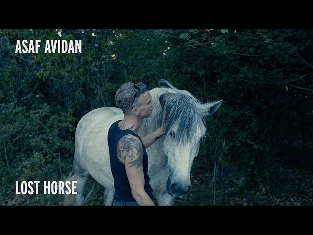 Asaf Avidan - Lost Horse (Anagnorisis | Track-By-Track)
