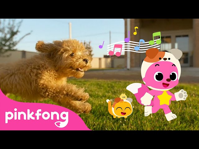 The Cutest Baby Dog! | Puppy Song | Pinkfong for Kids
