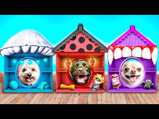 Vampire vs Ladybug vs Smurf Cat! One Colored Dog House Challenge!