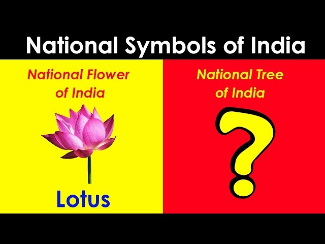 Top 10 National Symbols of India