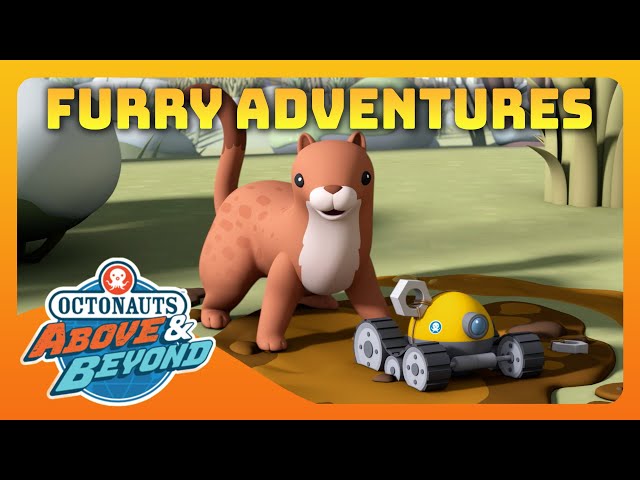 Octonauts: Above & Beyond - 🐻 Furry Adventures 🪂 | Compilation | @Octonauts​