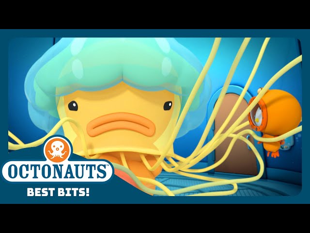 @Octonauts - 🎐 A Lion's Mane Jellyfish Gets Tangled On the Octopod 🪢 |  Season 3 | Best Bits!