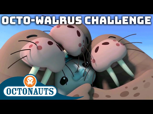 @Octonauts - The Octo-Walrus Challenge | Cartoons for Kids | Underwater Sea Education