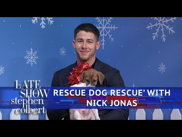 The Late Show 'Rescue Dog Rescue' With Nick Jonas
