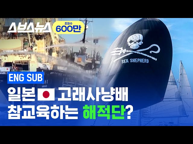 Environmental Pirate, "Sea Shepherd", rages at Japan for resuming whale hunting / SUBUSU NEWS
