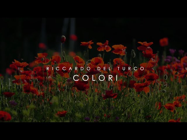 RICCARDO DEL TURCO: Colori (Official Video)