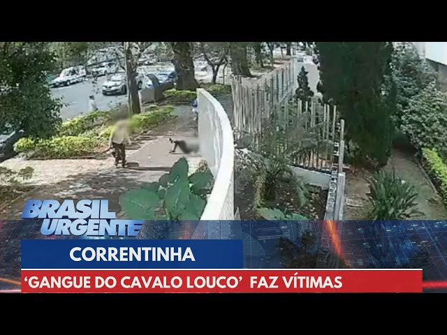 Criminoso derruba idosa ao chão para roubar correntinha | Brasil Urgente