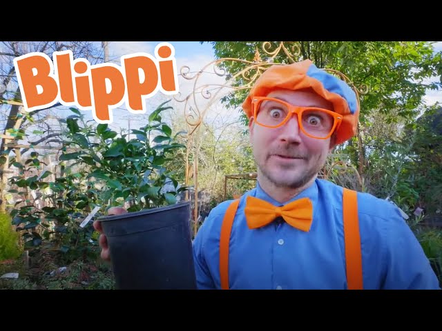 Blippi's Great Green Movie | Blippi Full Movie | Educational Videos For Kids