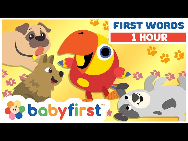 Toddler Learning Videos | Color Crew and Larry Surprise Eggs | Funny Animals for Kids | BabyFirst TV