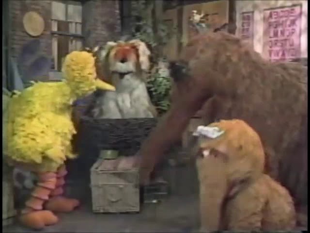 Sesame Street 2524: Luring Barkley Out of Big Bird's Nest (1989)