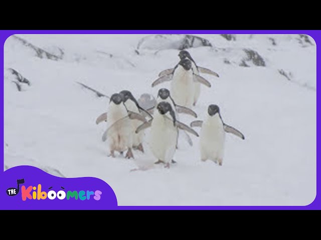 Penguin Dance Video - The Kiboomers Preschool Songs & Nursery Rhymes