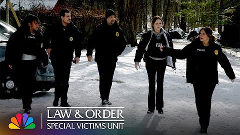 Best of Fin | Law & Order: SVU