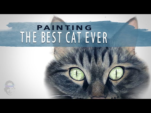 Painting The Best Cat Ever - The Ultimate Cat Video