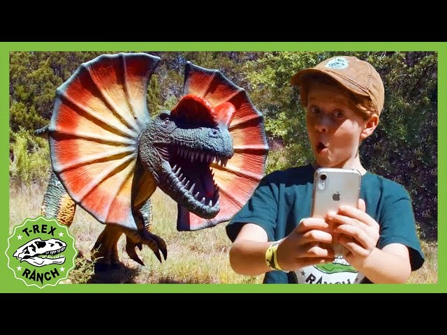 Dinosaur Hide and Seek at Dinosaur World! +30 Minutes of T-Rex Ranch Dinosaur Videos