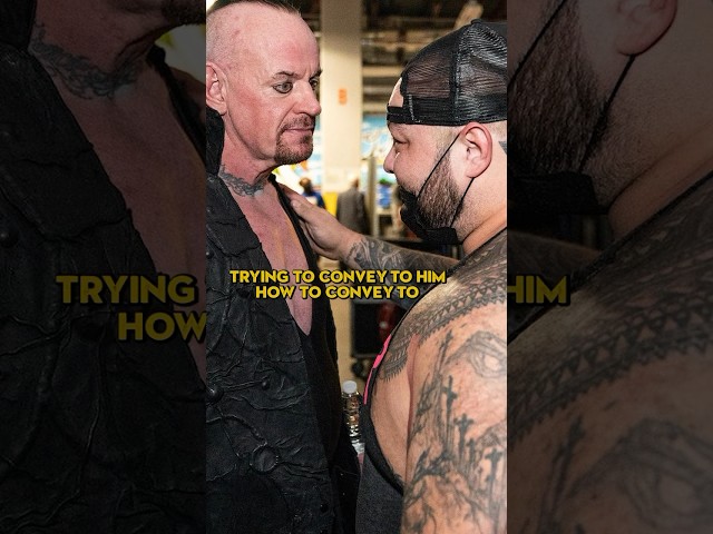 Undertaker’s Advice For Bray Wyatt